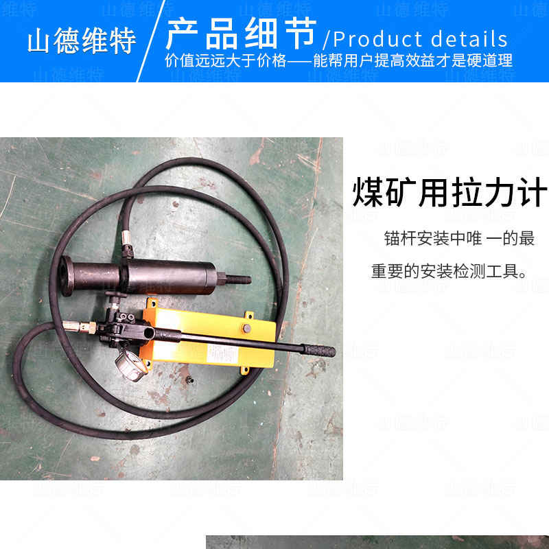 LDZ煤礦用拉力計(jì)