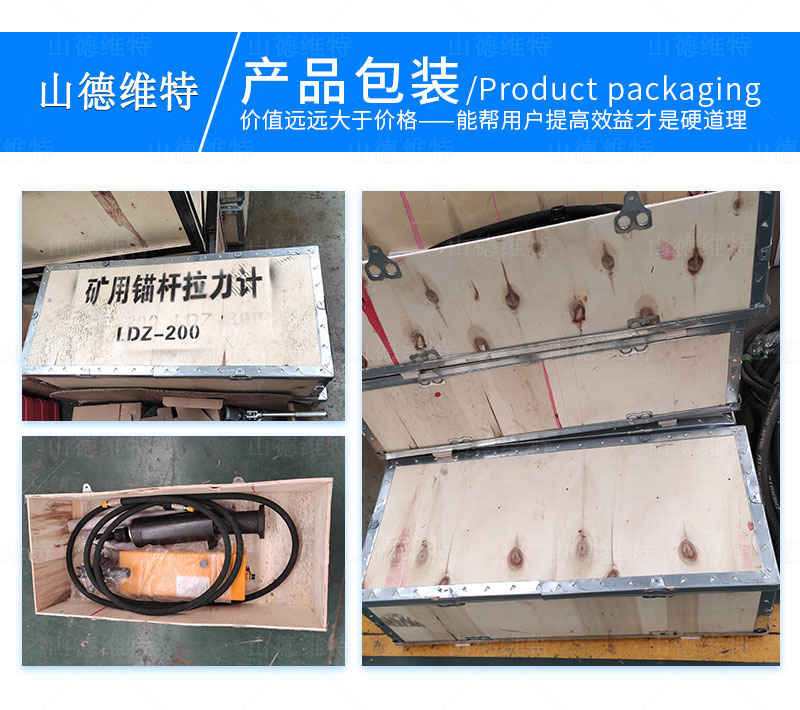 LDZ拉力計(jì)包裝